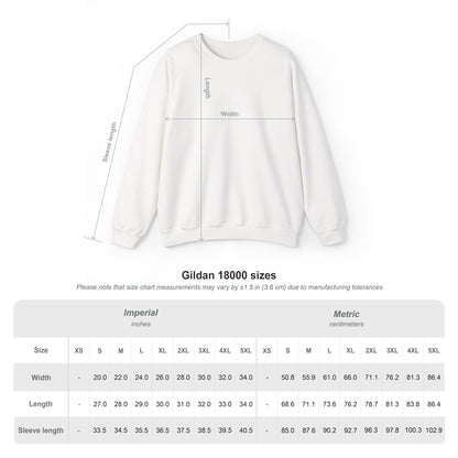 Senior Sweatshirt 2026 bows